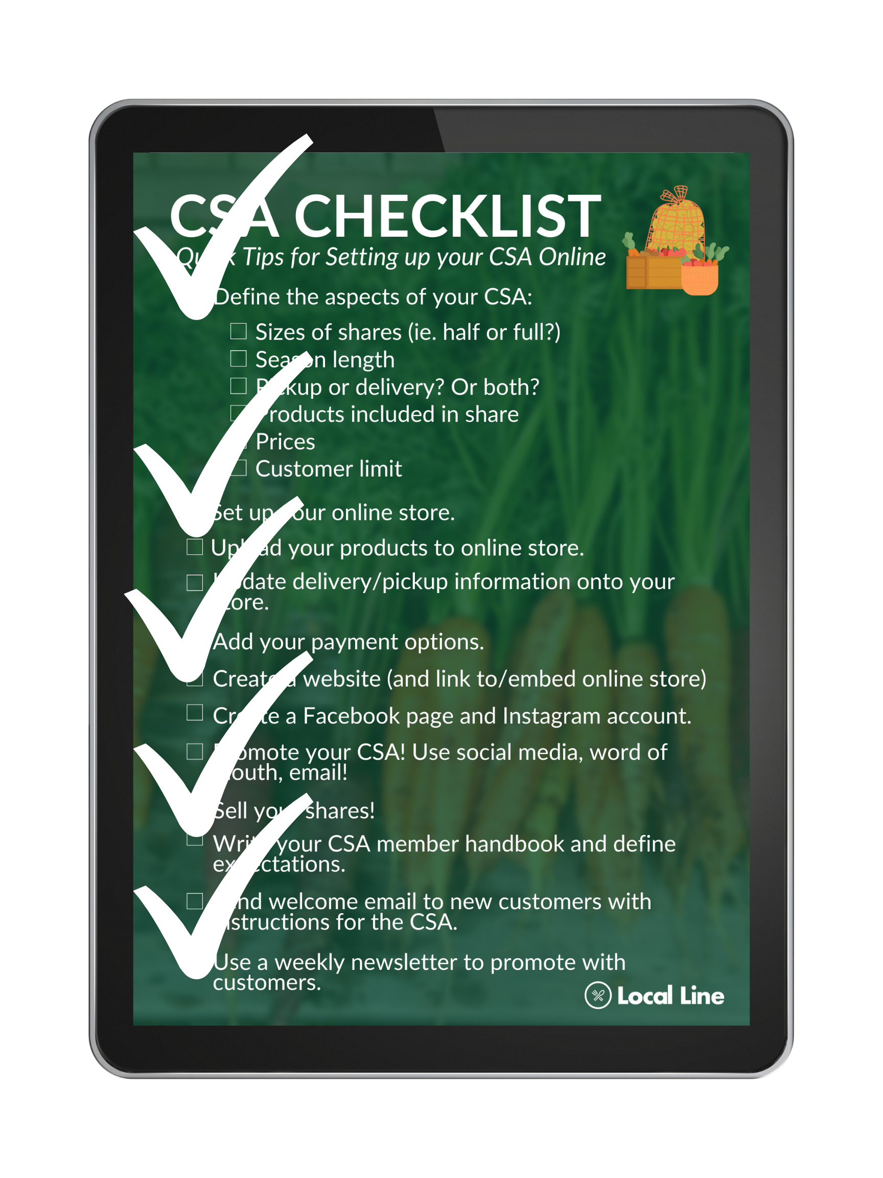 LP Graphic The CSA Checklist